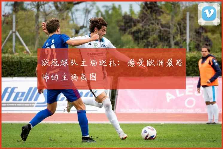 欧冠球队主场巡礼：感受欧洲最恐怖的主场氛围